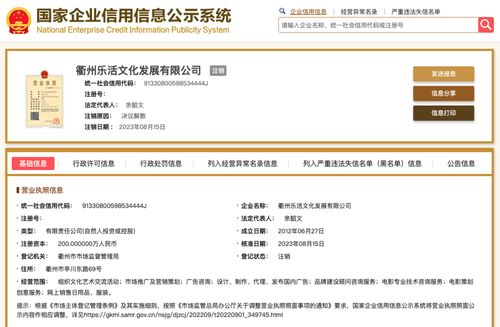 文化信息咨詢 連接傳統與現代的橋梁